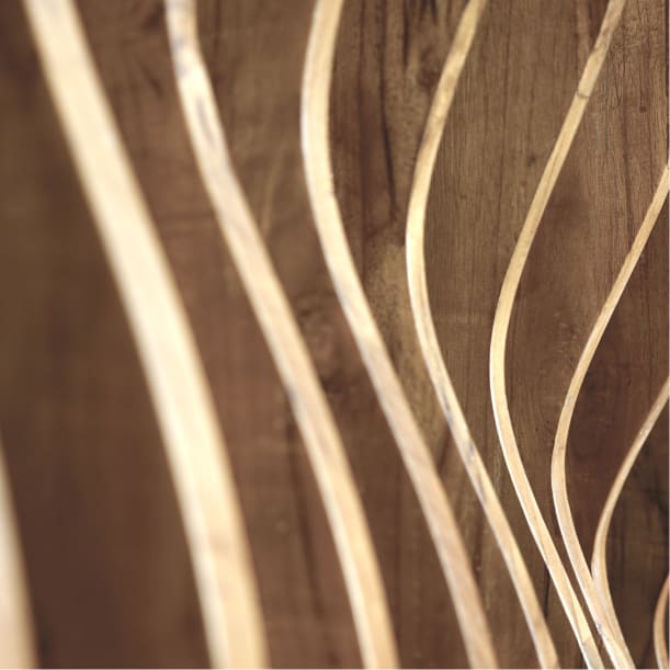 Radiata Pine Plywood Detail